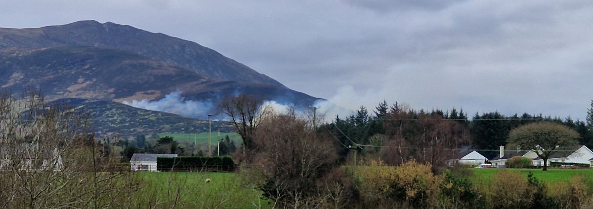 jerosullivanRK's tweet photo. Another #gorsefire this time at Upper Killaha Glenflesk outside Killarney https://t.co/1POTGhPKsL