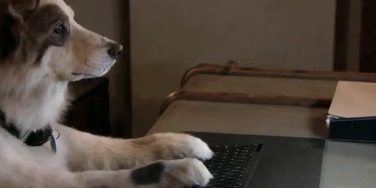 Everyone going dog with a blog mode trying to catch up on blogs this week #cnusocialmedia