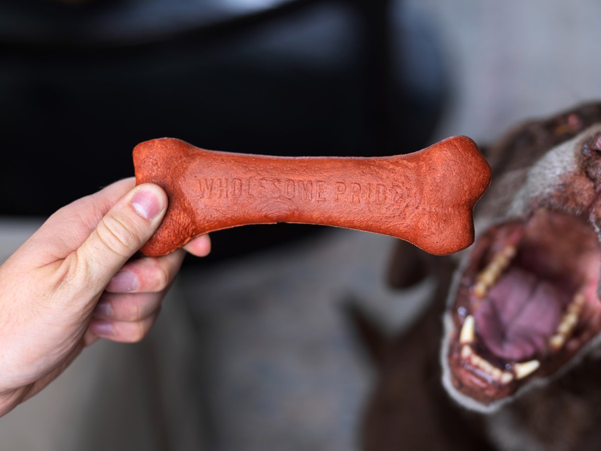 Big chomps for my Natural &amp; Healthy Dog Chew 🦴😋

#WholesomePride #RaisetheWoof #DogsofTwitter