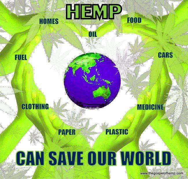 Eco_Essentials_'s tweet photo. Hemp is amazing!
https://t.co/TZ3SxXg24g
#sustainablefashion #ecofriendly #ecofashion #hemp #hempclothing #ecoessentials #slowfashion #saveourworld
๐ธ The Gospel of Hemp
https://t.co/LFs8mGBmXb https://t.co/l6INLPmOOf