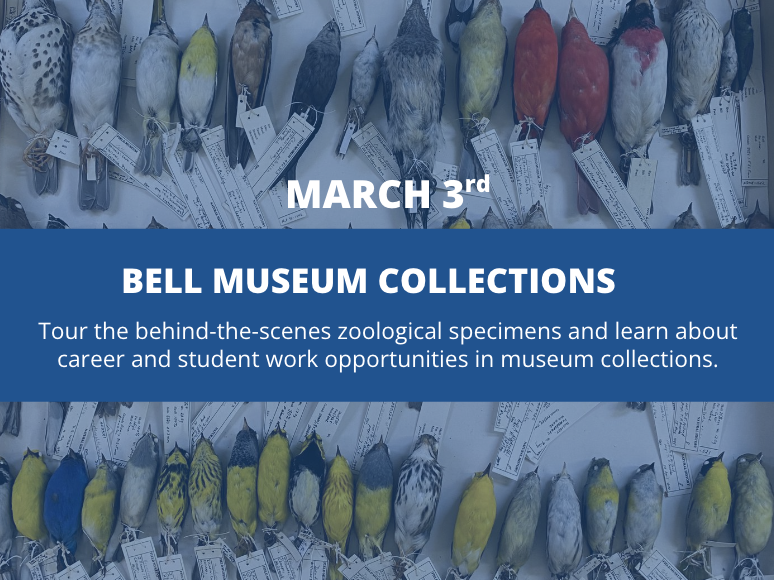 Our first "Field Trip" is THIS FRIDAY (3/3) from 3-5pm: 
Join us for a behind-the-scenes tour of the <a href="/BellMuseum/">Bell Museum</a> and it's zoological collections lead by staff and students. 

Open to all UMN grad &amp; undergrad -- please RSVP on our website (link in bio) <a href="/umncbs/">UMN CBS</a>