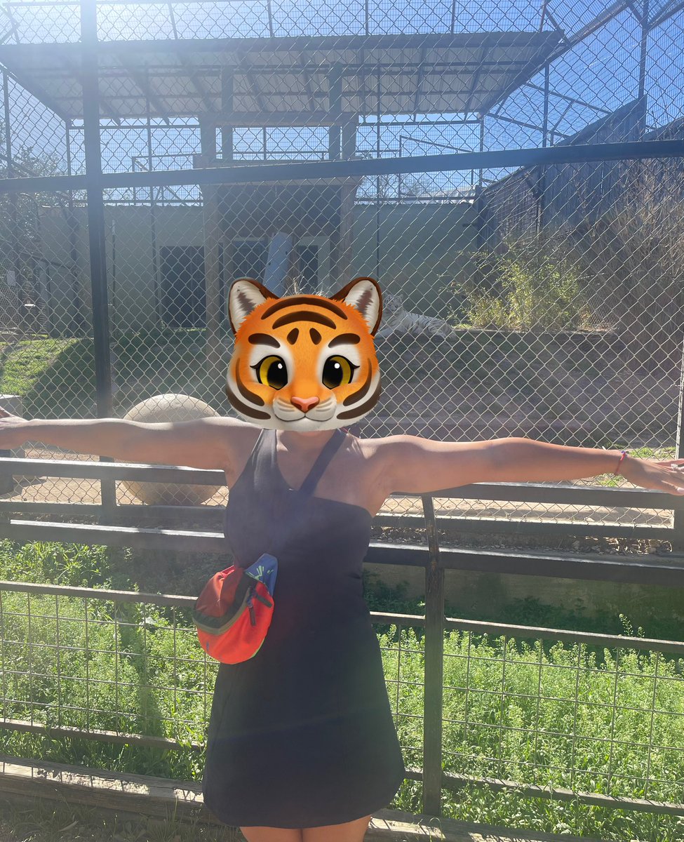 gracee007's tweet photo. Purrrrrrr 
#TMAs #TheMafiaAnimals #Zootomint https://t.co/3Hjl140Cyt