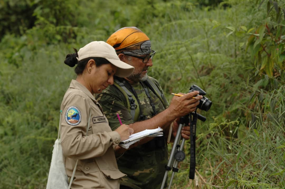 InparquesVzla's tweet photo. #ProgramasInparques🍃 || El programa de investigación y seguimiento ambiental, responde a las necesidades de conocimiento para el manejo y la gestión a través de la identificación, desarrollo y consolidación de líneas de investigación científica.🍃

#27FRebeliónAntimperialista https://t.co/OxlbbIM0CU