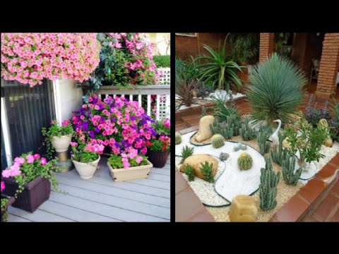 AllForGardening's tweet photo. Top Small Home garden Landscaping design ideas 2023 ! beautiful gardening  ! home garden ...
 
#GardenDesign
 
https://t.co/MLzAAhSckT https://t.co/3fJQuDmLof