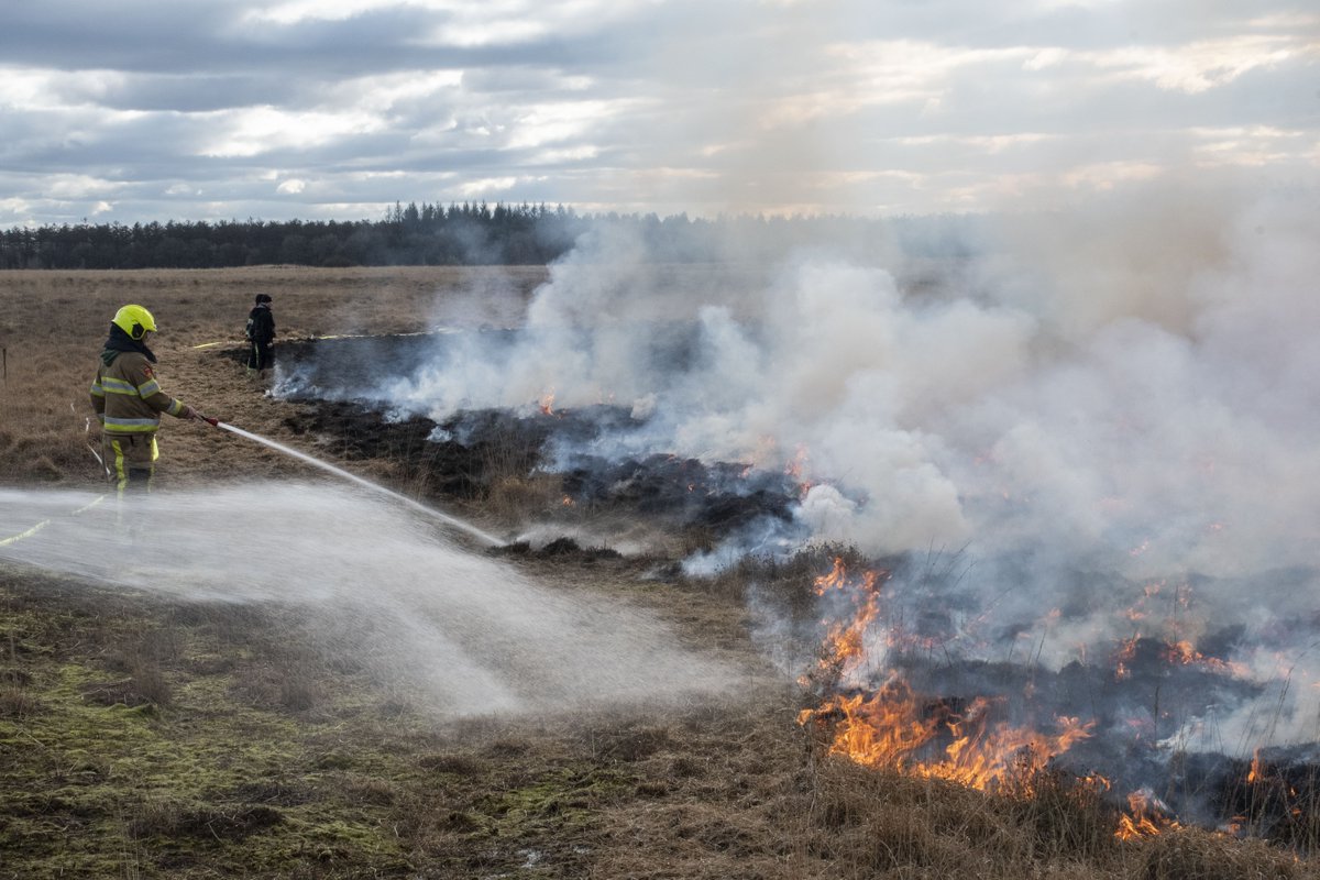 Vanmiddag lieten Staatsbosbeheer, Wolf Fire Safety, Brandweer Fryslân en Bosbrandweer Noord-Nederland als test een stukje Duurwouderheide beheerst afbranden. 🔥 Staatsbosbeheer wil zo de effecten van brand op vegetatie onderzoeken. Voor ons was het een leerzame oefening.