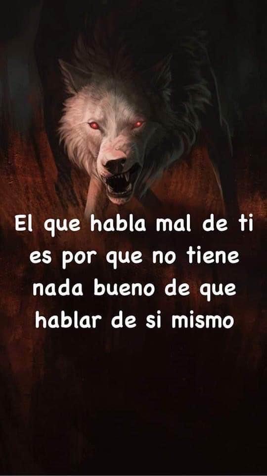Paulo Coelho Español (@paulocoelhodice) on Twitter photo 