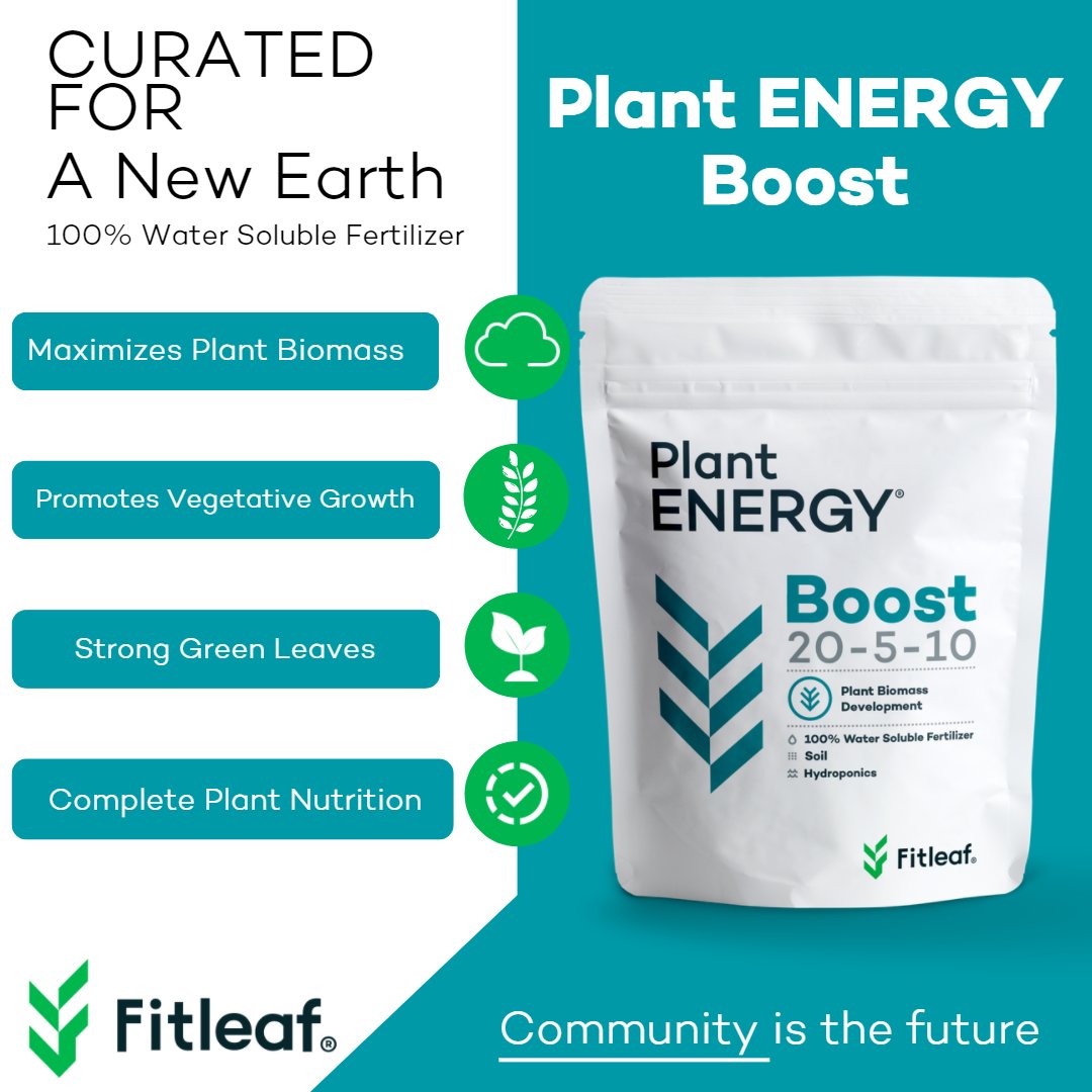 Fitleaf1's tweet photo. Imagine if vegetable gardens were as common as plain lawns. How could this change our lifestyle and our world? What stops us from doing this, and what can we do about these challenges? #gardening #vegetablegarden #consciousness #gardeningmemes https://t.co/SAtV9CosT3