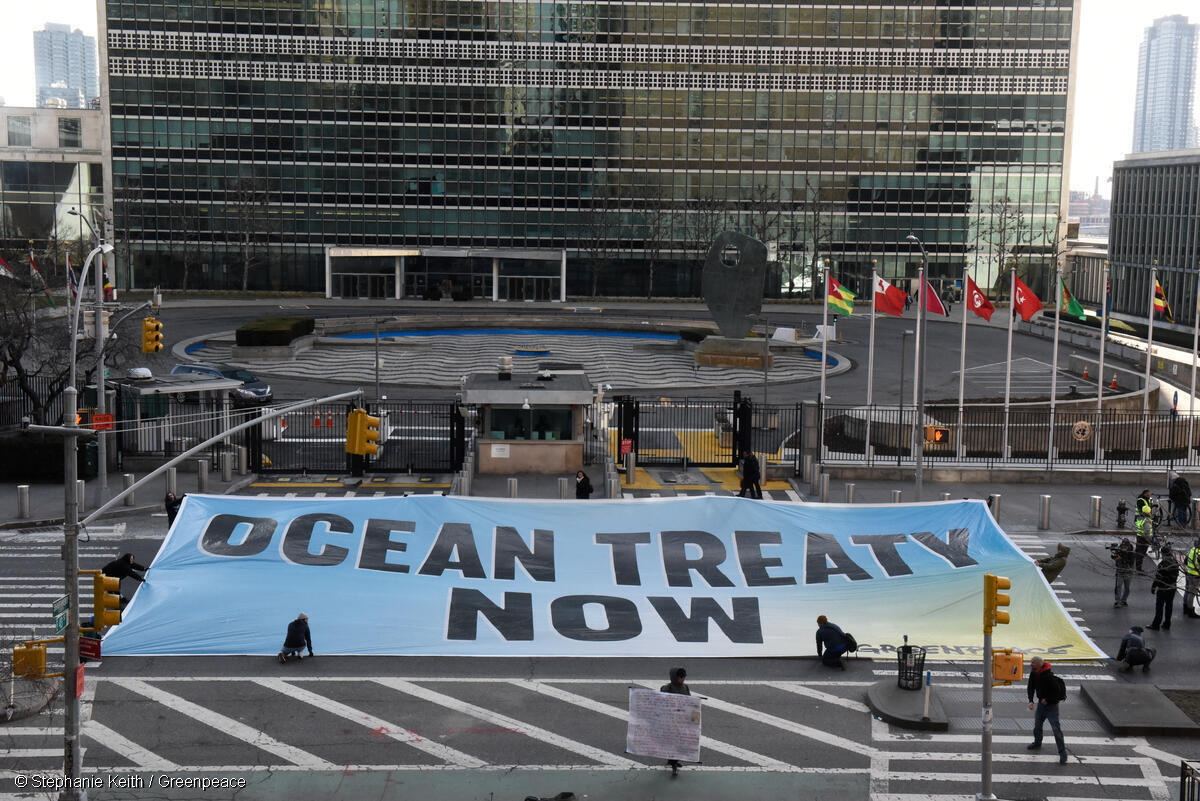greenpeaceusa's tweet photo. 🚨Breaking: Greenpeace USA activists are on the ground outside the @UN in NYC to deliver a message to @MonicaMedinaDC &amp; the Biden Admin: Strong Global Ocean Treaty Now! 

Friday is the deadline for world leaders to secure a strong Global Ocean Treaty! We must act now! 🐋 https://t.co/wQjtPREzBT