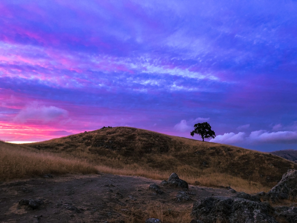 macNcheez78's tweet photo. With all of the storms blanketing the West Coast I've found myself reminiscing about nights in the hills watching the sunset. 

Where's a spot you love to watch the day come to a close?
.
.
.
.

@colibrigallery #colibrigallery 
@open_space_authority #open_space_authority https://t.co/D4Lwt39Fox