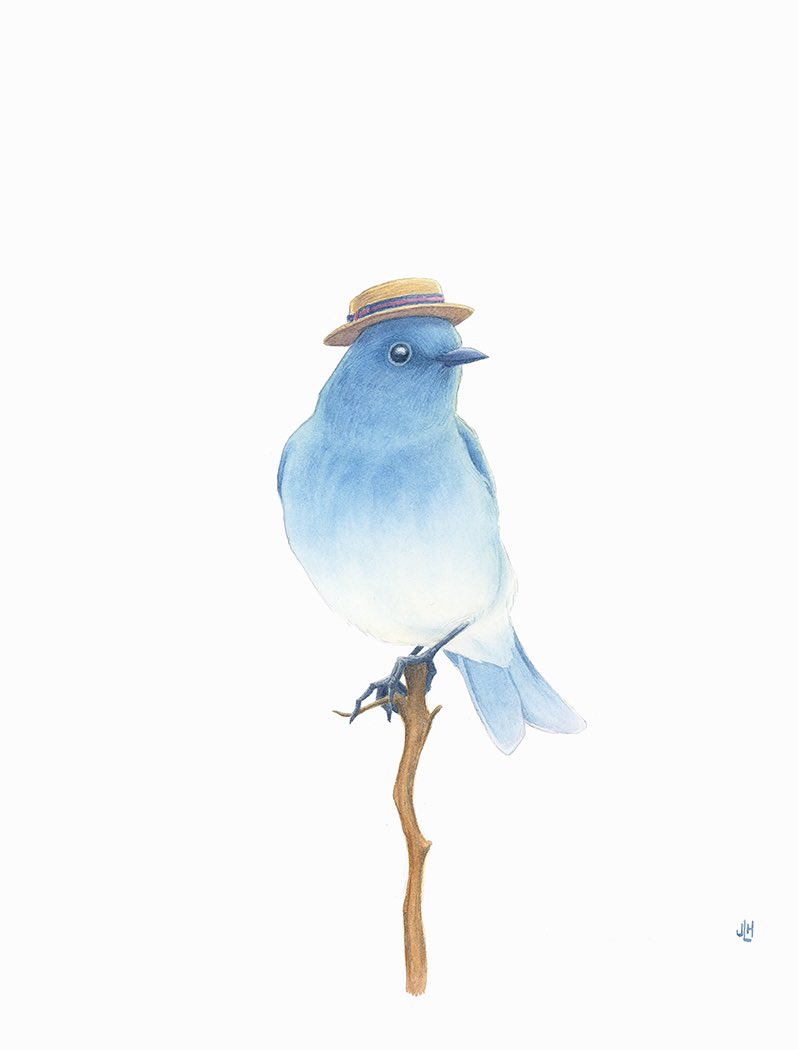 Recently finished a couple new #birdswithhats paintings! Look how dapper they are.