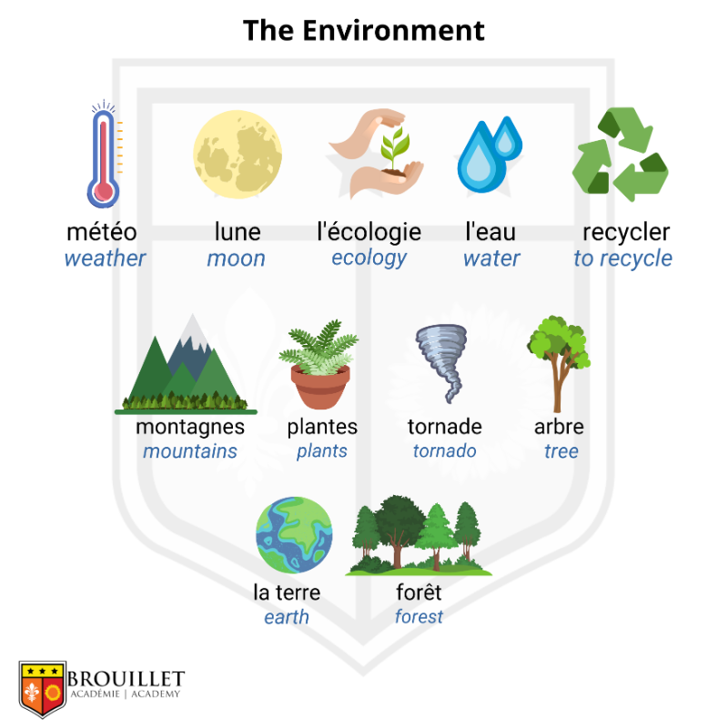 It's time for some new #frenchvocabulary cards! #Teachers here are some useful french words to discuss the environment with your #frenchstudents 🌿