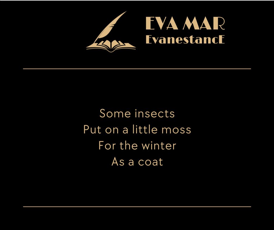 #poésie #poetry #poems #Poet
#writing #writer #haikus #nouvelles 
#WritingCommunity #PoetryCommunity
#micropoetry #poetweet #webpoesie #littérature
#inspoète #poète #instapoet #poetress #instapoésie