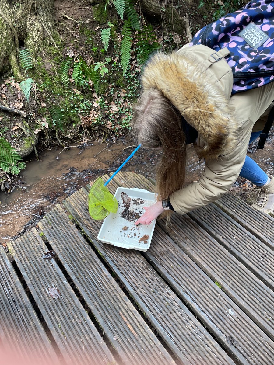 WLV_ECS's tweet photo. A great morning @DodfordFarm with our level 4 students reflecting on their learning in the role of play module! #farm #outdoorlearning #sensorygarden #streams #play #therapeutic 
@wlv_education @ed_wlv @YPFC_WLV @sendis_wlv https://t.co/vS1t3Dwqbq