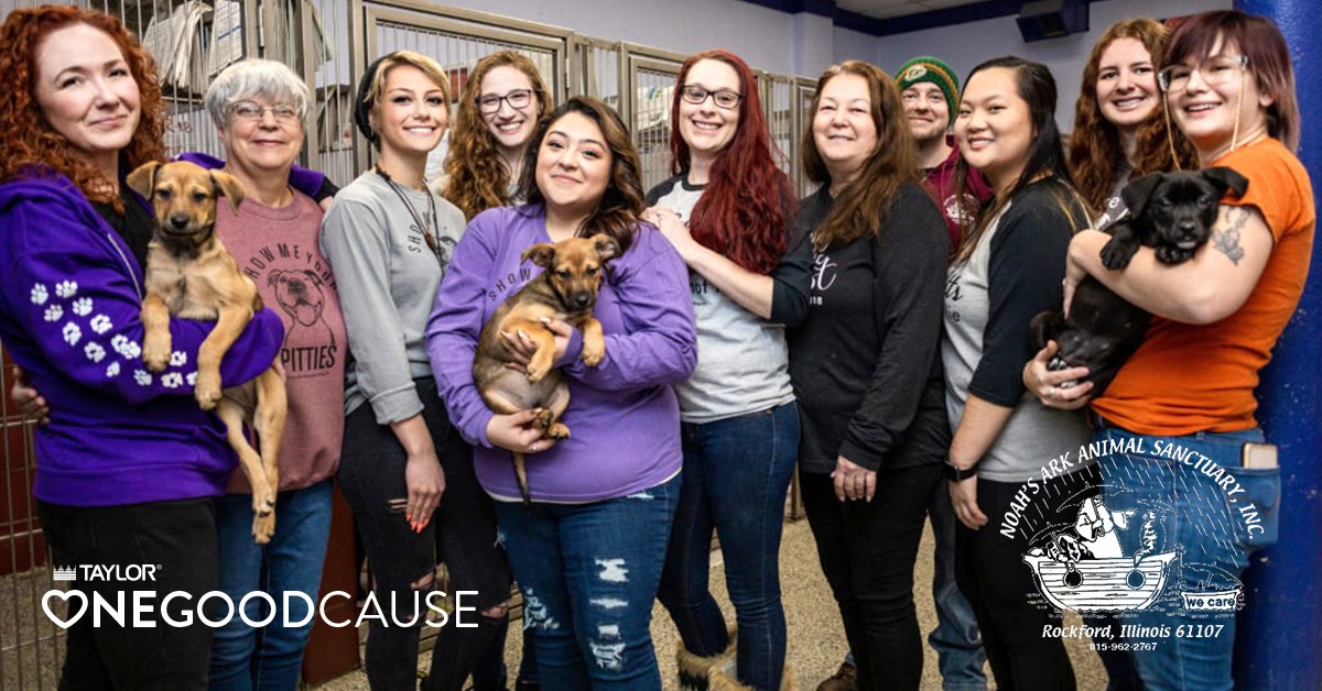TheTaylorCo's tweet photo. Noah’s Ark has helped find forever homes for over 21,000 pets. This One Good Cause is a Taylor favorite as we’re proud to donate towards more warm beds and good food for all their furry friends.
#NoahsArk #TaylorOneGoodCause #Charity #PetShelter #TaylorCompany #Foodservice https://t.co/05PeWIg7gP