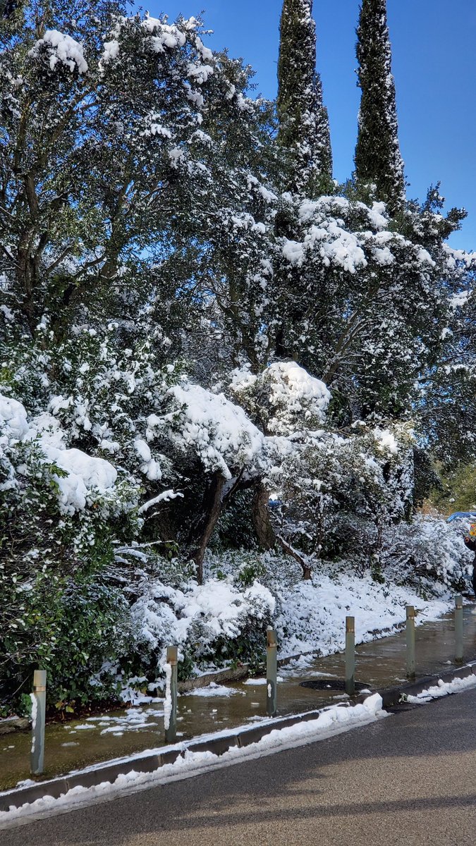 PauCT4's tweet photo. Així aguantava la neu al Tibidabo durant el dia! Una nevada digna de recordar.

 #NEUCAT @fans_de_neu @alexmegapc @meteopolita @comandotibidabo @TomasMolinaB https://t.co/AdtPUnepnH