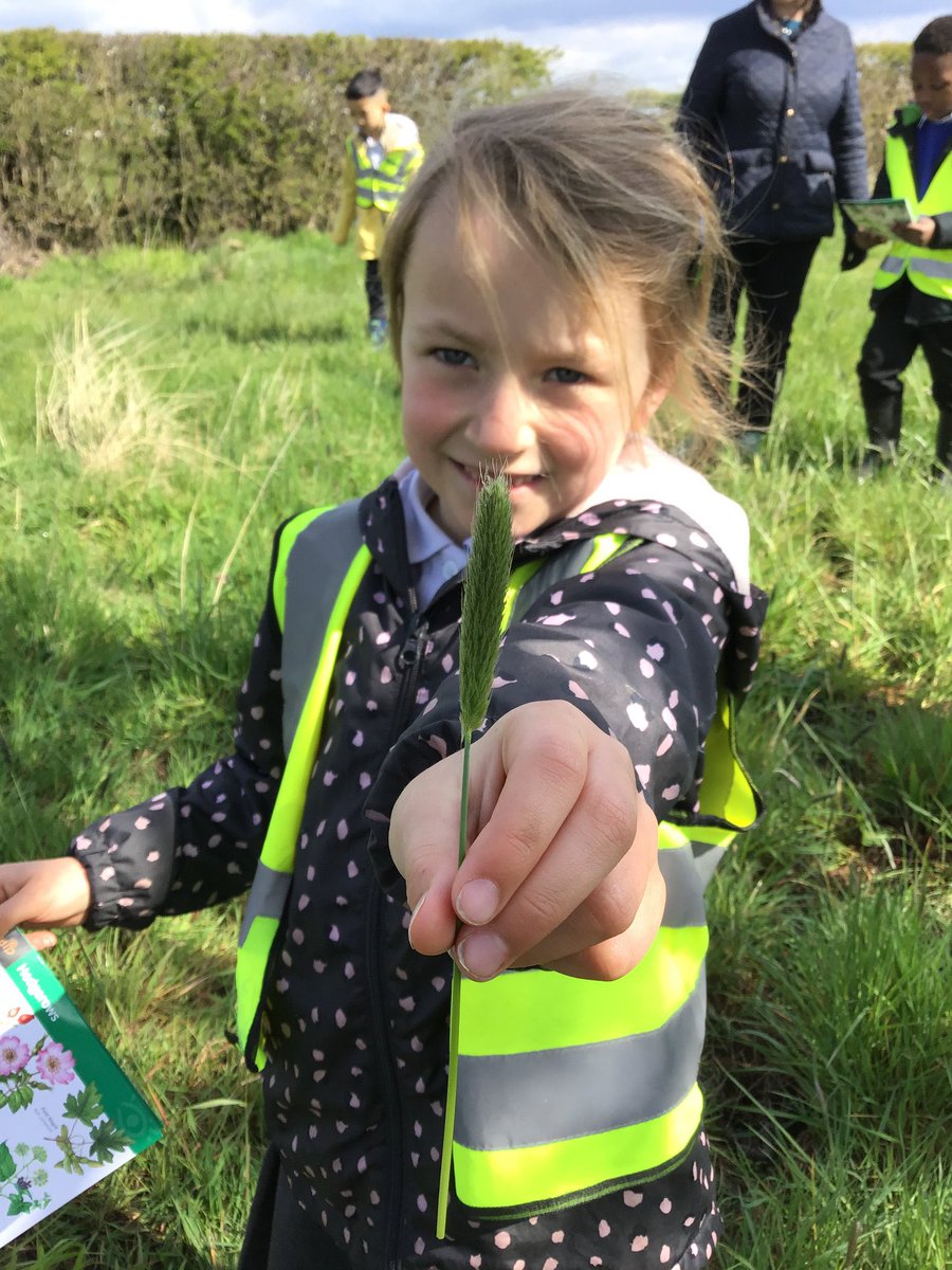 GrasslandsFarm's tweet image. Did you know we also host free school visits? Ask your school to get in contact. 🚜 🐄