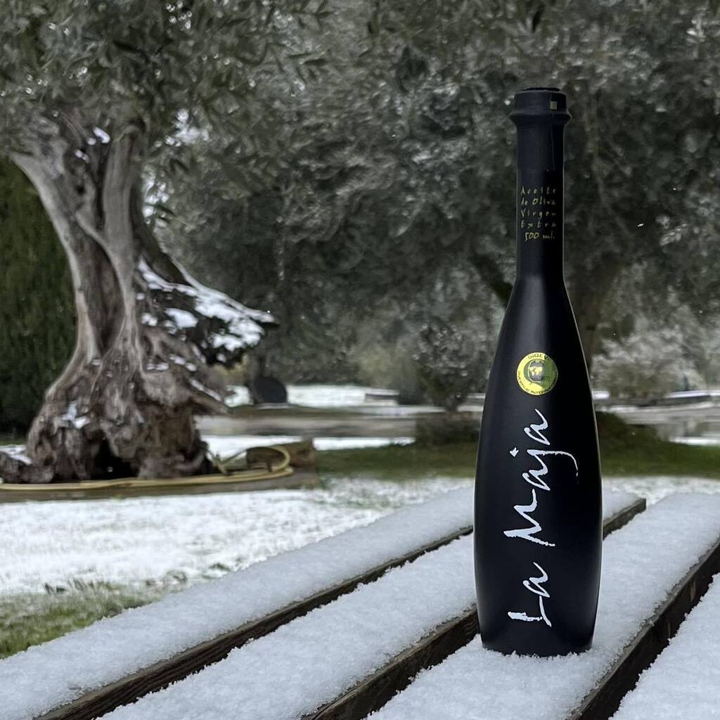 La nieve siempre ofrece buenas fotos en los olivos, pero sobre todo es muy buena para la tierra. 
Como dice el refrán: año de nieves, año de bienes 

#nieve #snow  #olivetree #arbequinaoliveoil #extravirgen #extravirginoliveoil #evoolovers #extravırgınol… instagr.am/p/CpLC3ytrD2D/