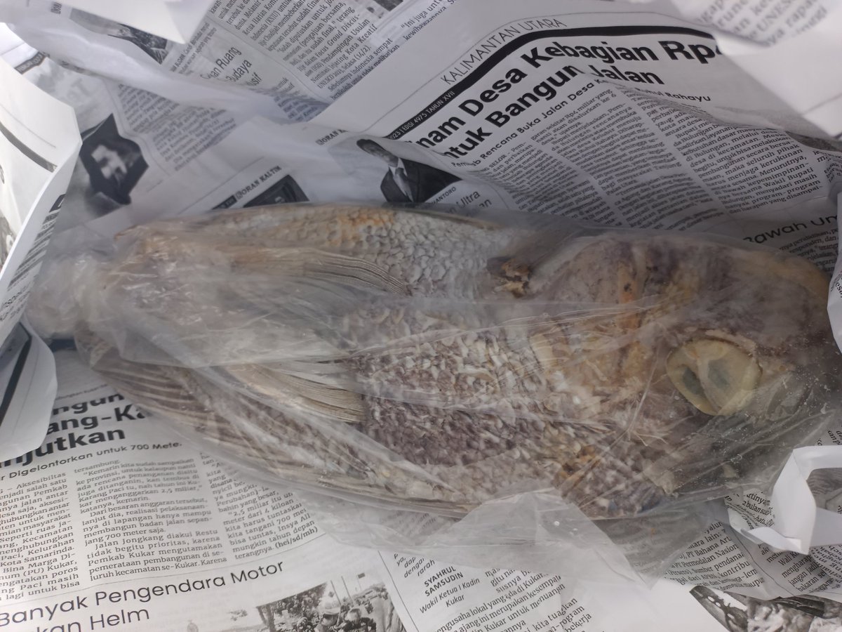 BKIPMBontang's tweet photo. Pengiriman komoditi ikan olahan dan kering, tujuan kediri https://t.co/e8OgShIj6K