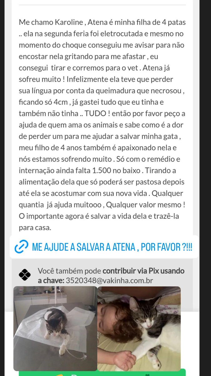 2Kbreves's tweet photo. @meltedvideos me ajudar a salvar minha menina . Por favooor!? Eu é meu filho estamos sofrendo muito com ela longe . Na imagem explico tudo direitinho. Foi um acidente ! 

Quem puder ou preferir , minha chave pix é  
( 21 972780119 ) 
Karolayne C. Breves  ( nubank ) 

https://t.co/nY1yU0qXKY… https://t.co/aoc0VpxddJ
