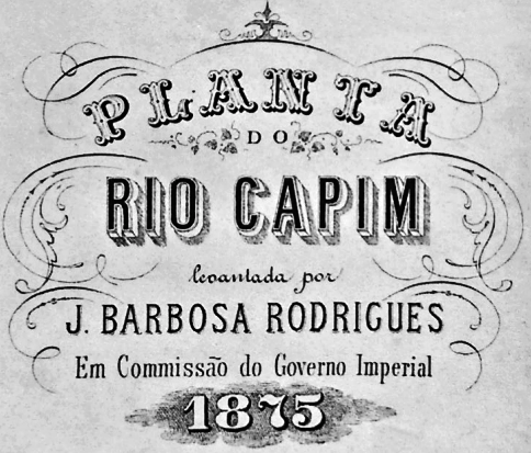 Rodriguesia's tweet photo. Our main sources are published narratives, sometimes associated with manuscripts and iconography.
#Amazon #indigenouspeople #networkofknowledge #travelnarrative #travelingnaturalist #rodriguesia #JBRJ https://t.co/WSsx1lDSRU