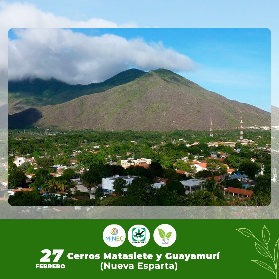 NacionalZulia's tweet photo. 🧩#Hoy El Monumento Natural Cerros Matasiete y Guayamari Arriba su 49 Aniversario, es decretado con el objetivo de proteger estos hermosos paisajes y sus atributos excepcionales,con características especiales que los convierten en una zona eminentemente protectora.🌱⛰️ https://t.co/N2NjuFFAqs