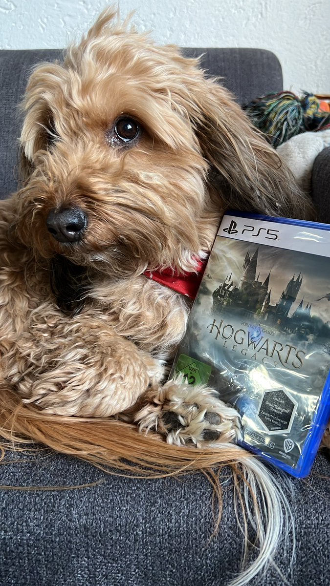 na_Kuh's tweet photo. Fine und ich haben heute ein Date #PS5 #HogwartsLegacy https://t.co/tPsyOpSZO2