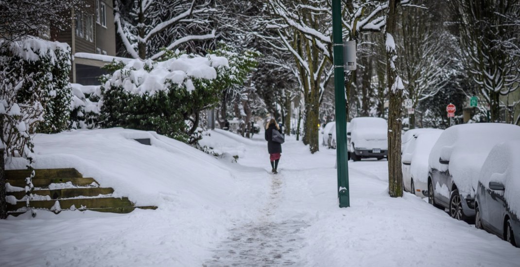 XynythCorp's tweet photo. 15 cm of snow fell in Metro Vancouver! 🥶

📌 Don't forget our  GroundWorks Natural™ Icemelter is not only perfect to clean sidewalks, but also completely eco-friendly, pet safe and easy to use. 🙌
#XYNYTHcorp #VancouverSnow https://t.co/MNYSXSXFOJ