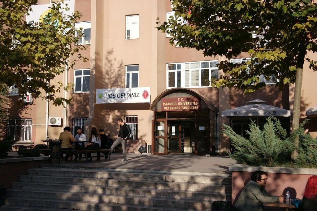 4 sene önce yıkılan fakülte binamızın inşaatına bile başlanmadı, bu hafta da hastanemizin boşaltılması istenildi. Fakültemiz göz göre göre ihmal ediliyor #iucvetkapatiliyor