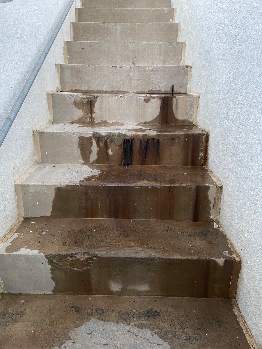 It’s been 89 days since we told <a href="/SouthernWater/">Southern Water</a> that there’s sewage leaking through the steps to our house and nothing has been done