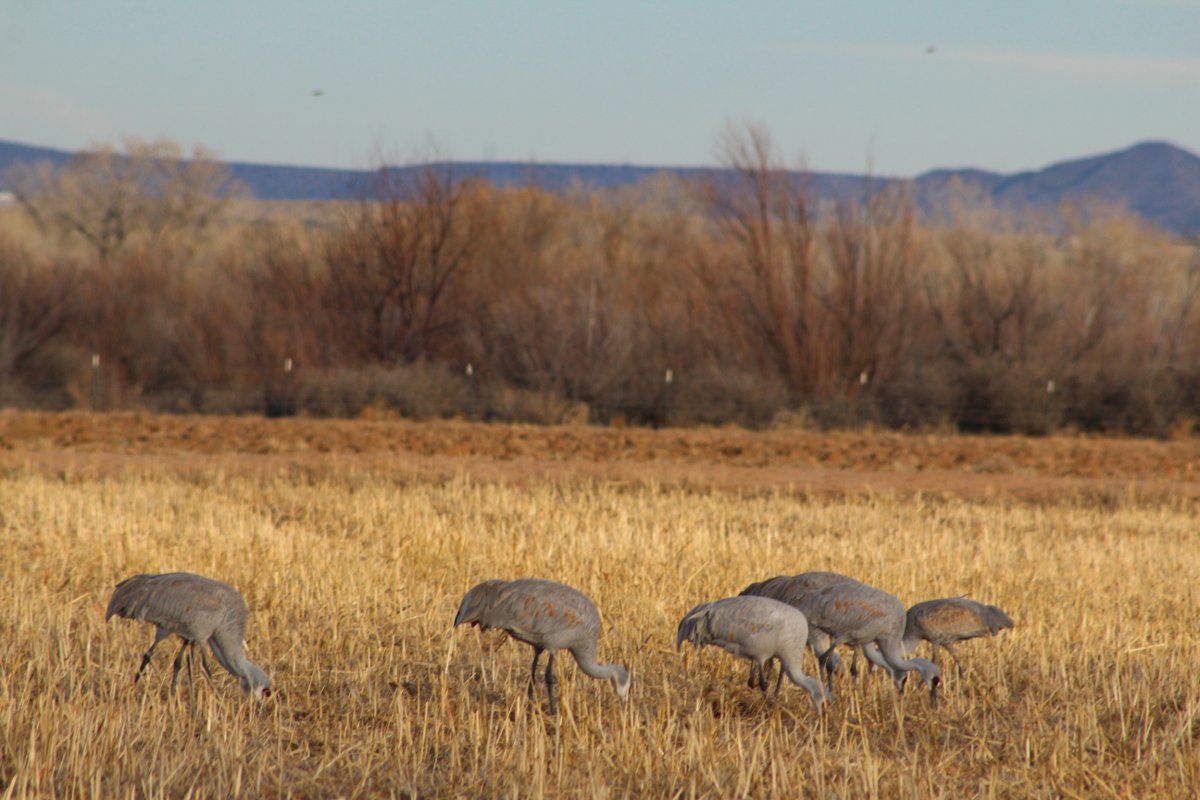 Jennifer Gonzales tweet media