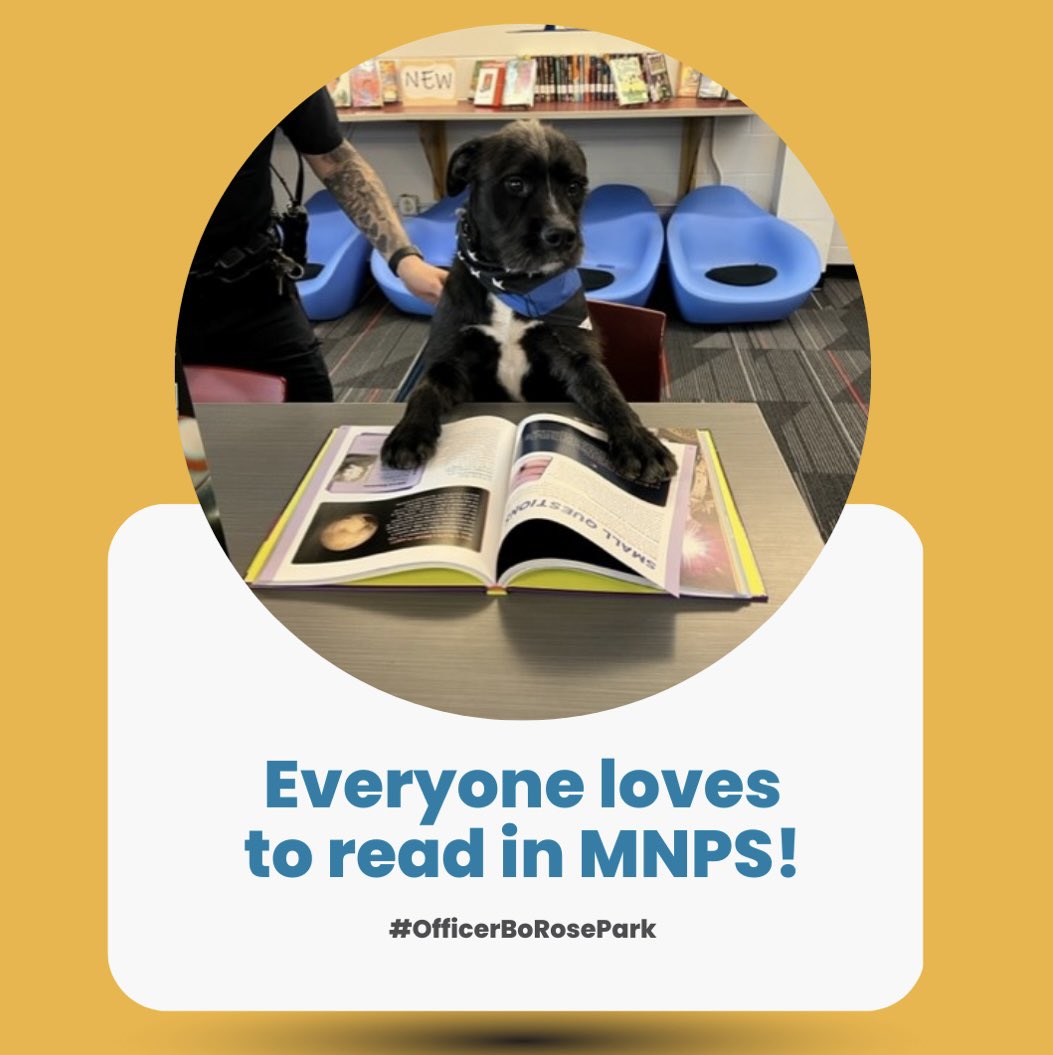 Rose Park Titans tweet media