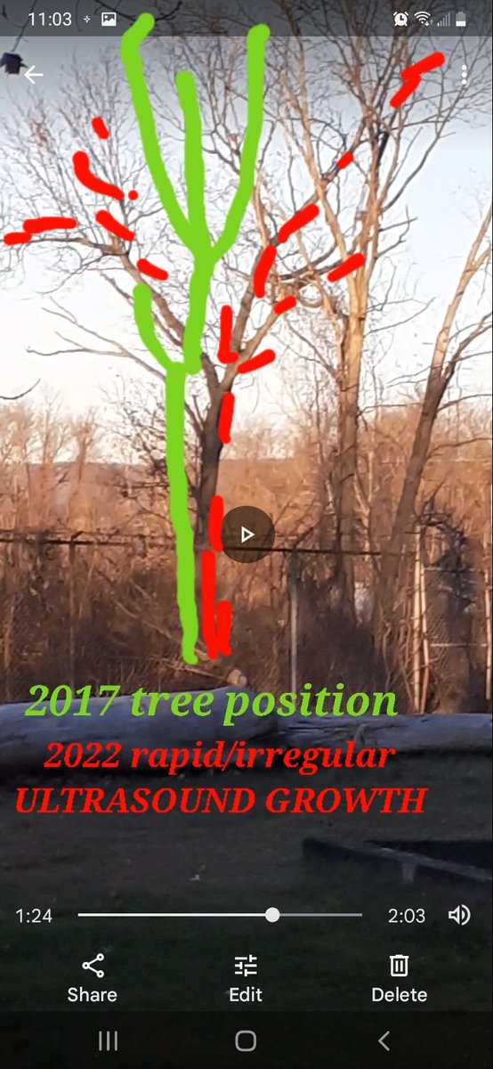 TimothyDMurphy3's tweet photo. I looked at the tree like by my house today and it seems as if they have all been "CLEANED in the CITY" almost like "scity cleaners" and I wonder if they no #Samanthasgone #CMFT #Count #try #sucks #backbiter #midnightrambler #ykirt #yLars #Jrob #yjames #111PATIOTWAY111# https://t.co/DuEMkphxcH