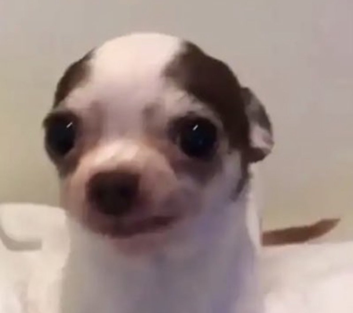 alfredosastree's tweet image. yo cuando me preguntan "cómo estas?" y me abrazan