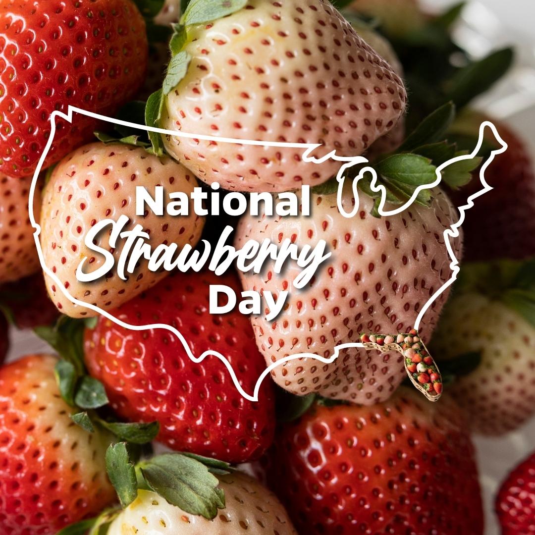 For the last 70 years, we've helped our farmers compete in markets nationwide.

This year @vance_whitaker's latest creation, the Florida Pearl® '109,' will give @freshfromflorida strawberry growers another way to stand out on store shelves. 

#StrawberryDay #FloridaAg #Pineberry