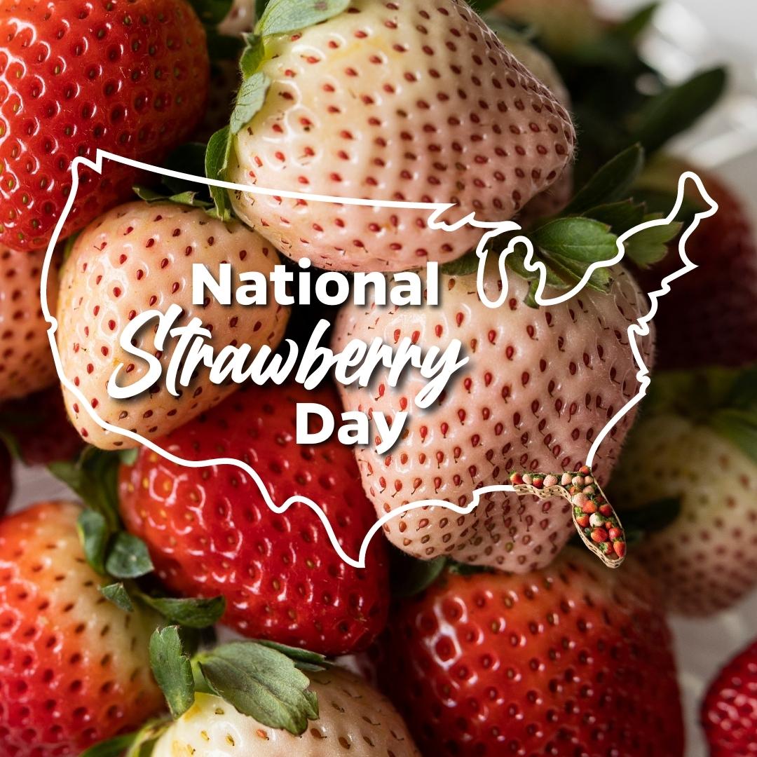 For the last 70 years, we've helped our farmers compete in markets nationwide.

This year <a href="/vance_whitaker/">Dr. Vance M. Whitaker</a>'s latest creation, the Florida Pearl® '109,' will give @freshfromflorida strawberry growers another way to stand out on store shelves. 

#StrawberryDay #FloridaAg #Pineberry