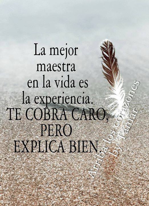 Emocion_espirit's tweet photo. Clarito que explica https://t.co/ySdzU5kYvl