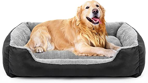 pet_lovers_98's tweet photo. Dog Beds, Washable Pet Mattress Comfortable and Warming Rectangle Bed for Medium and Large Dogs, Cat Pets.More info just click on this link
https://t.co/vymBaRIgil
#pet #dog #cat #dogecoin #CatsOfTwitter #dogbed #catbad #dogsoftwitter #catlover #DogLover #DOGE #CatFoodival #pets https://t.co/clEa8LcvBS