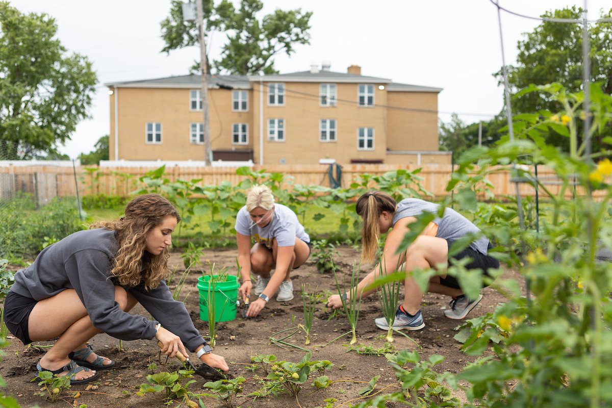 Have you heard about our Old Campus Gardens? 🪴 The gardens, graciously supported by the Valparaiso Univeristy Guild, create a sense of social responsibility, reduce the use of carbon emissions, and improve land development by increasing soil health and pollinator species. [1/2]