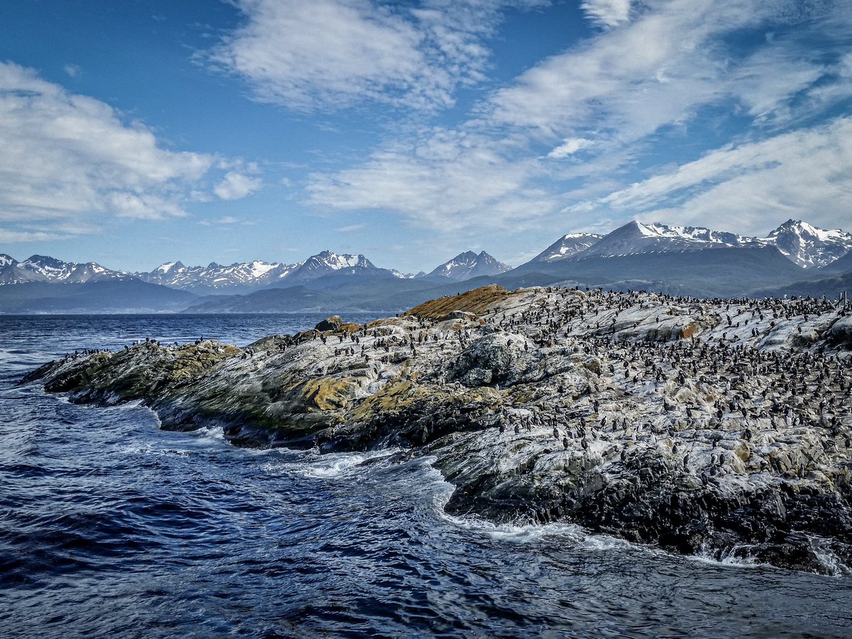 🇦🇷 Canal Beagle - Tierra del Fuego
📷 FujiFilm XSeries
#fujifilm_xseries #Patagonia #TurismoArgentina #argentinaenimagenes #photographylovers