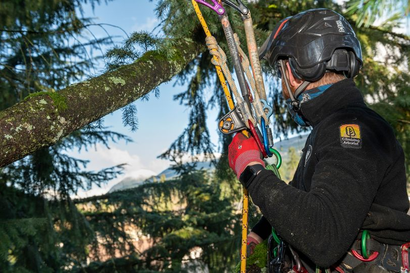 Sure beats a corner office, eh? #TheStrongestNameInRope