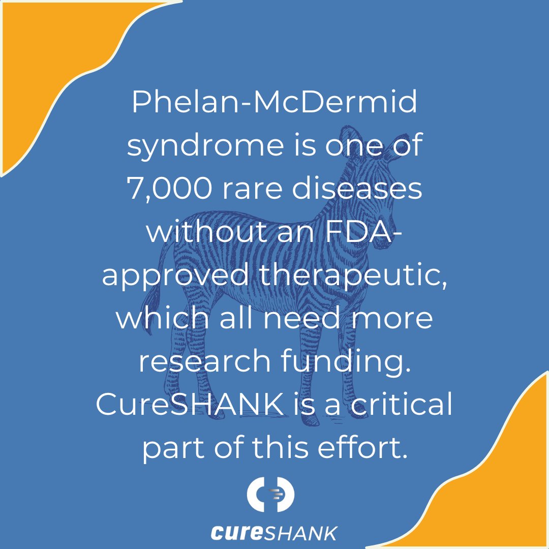 CureSHANK's tweet photo. Tomorrow is Rare Disease Day 2023!
#showyourstripes #shareyourcolors #careaboutrare #raredisease #rarediseaseday #rarediseaseday2023 #rarediseaseawareness #rarediseaseweek #phelanmcdermidsyndrome #cureshank https://t.co/K0EjUHwKUT