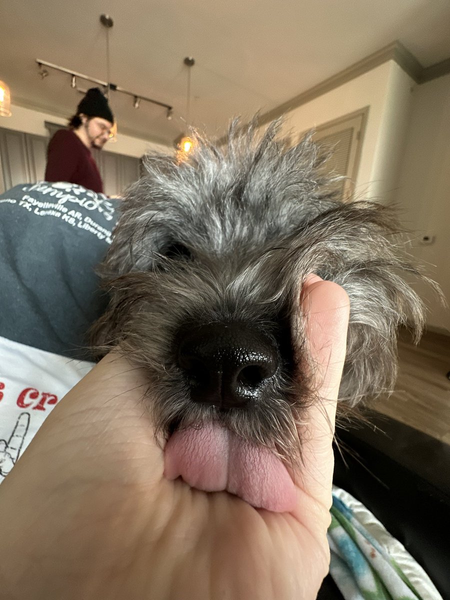 tyb481's tweet image. dawg.