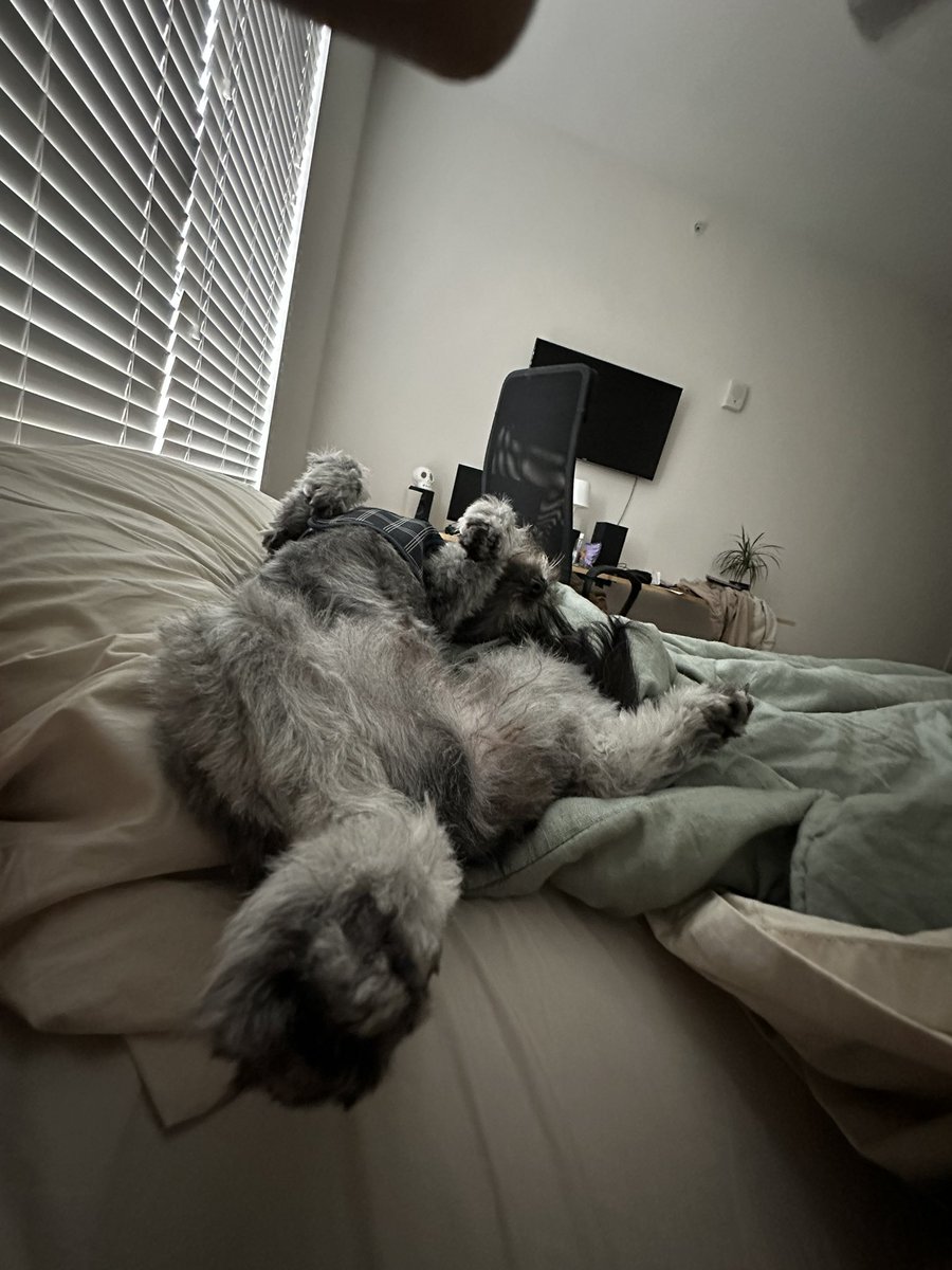 tyb481's tweet image. dawg.