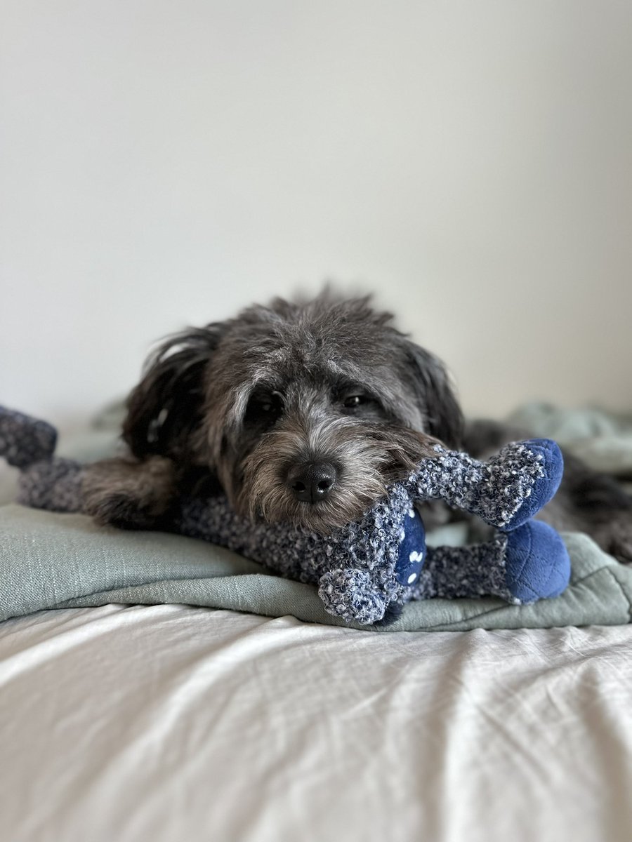 tyb481's tweet image. dawg.