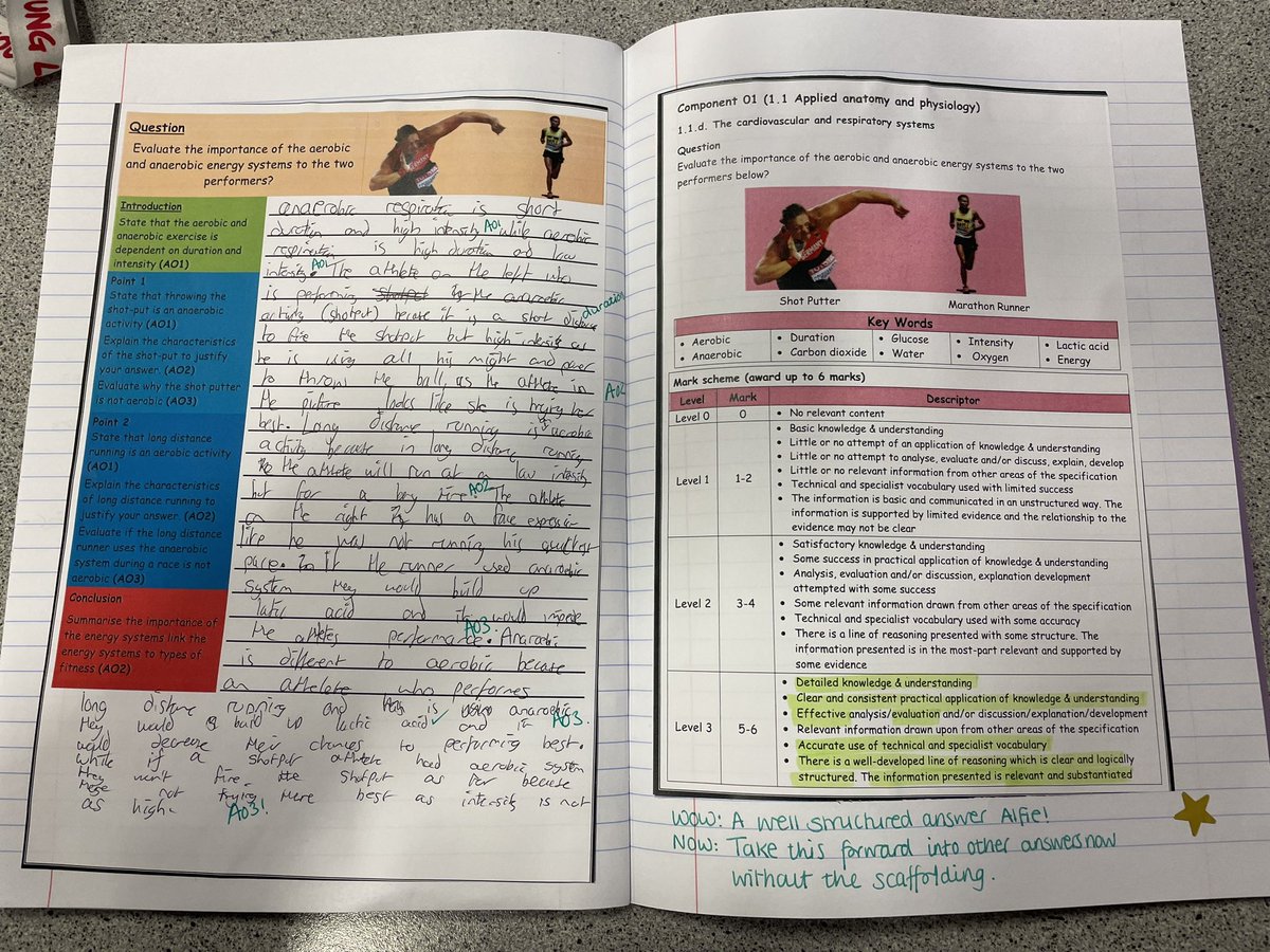 Miss Anderson PE tweet media