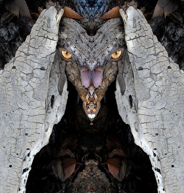 Mosherlandz's tweet photo. Now you can hang your Woody on the wall for everyone to see.

https://t.co/C0Q1cTOBdk 
#Tuesdaythoughts https://t.co/DtFkzIRgmz