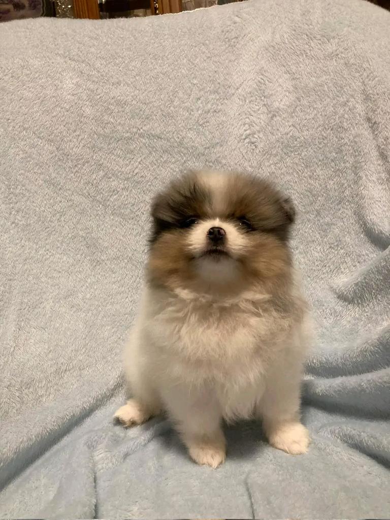 Mokom MlTA (@mltamokom) on Twitter photo 