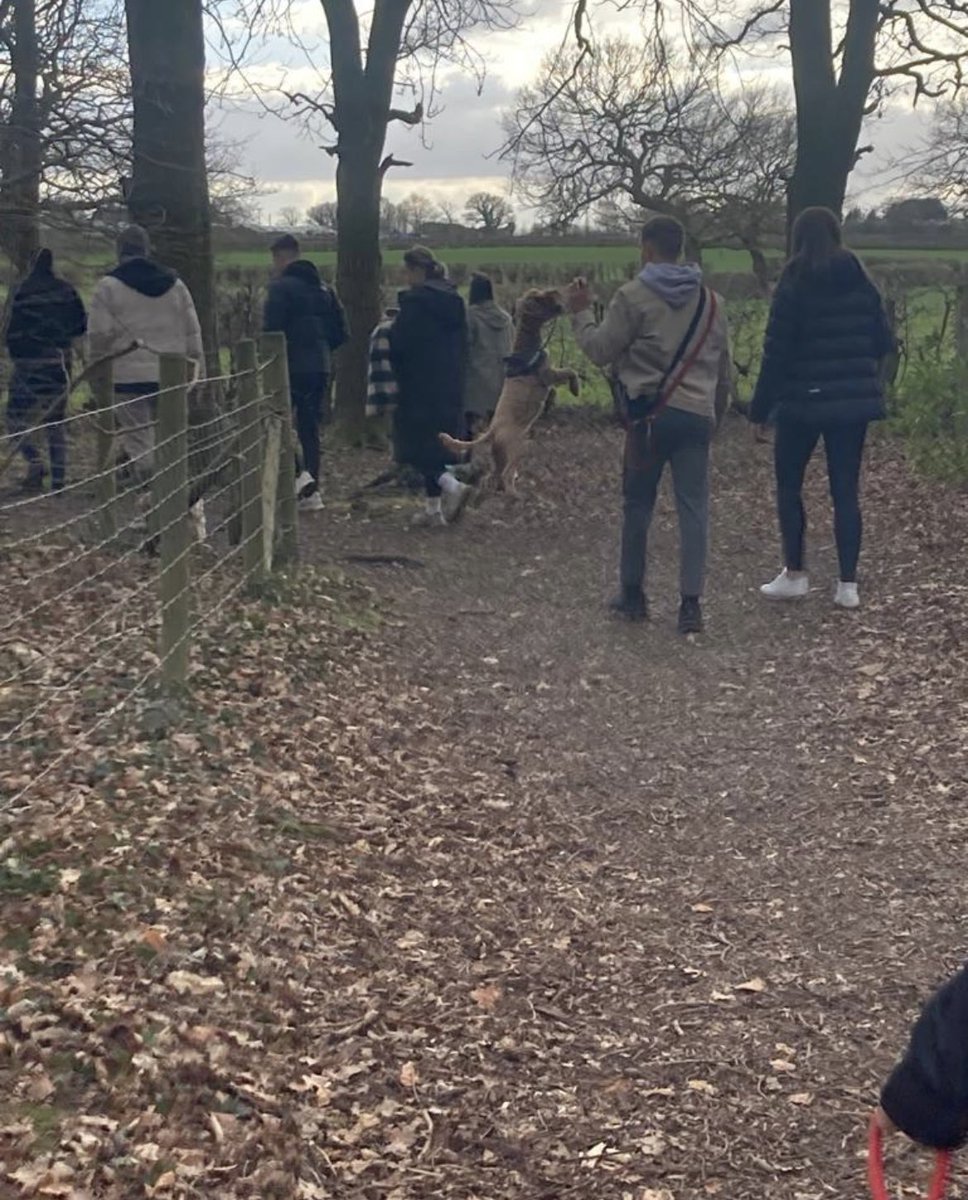 U3Matter tweet media