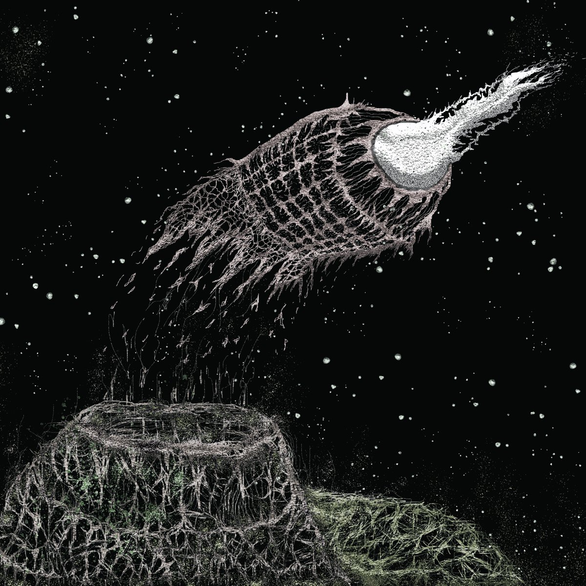 Just mint in my latest collection; "Astralyze Parallel".
There are two of my newest works just dropped. Will listing tomorrow, and accepting offer. 🫶👁️🕸️
Please check the collection; 
objkt.com/collection/KT1…