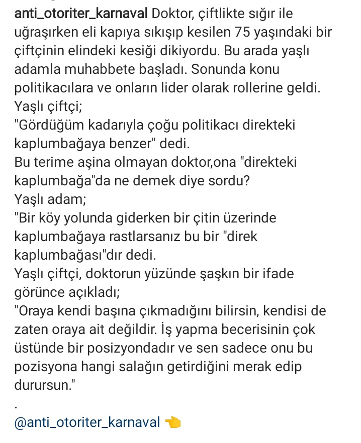 sezer_yk2's tweet photo. Direkteki kaplumbağalar. Artık sizi ordan indiremenin zamanı geldi https://t.co/oXadPygTFb